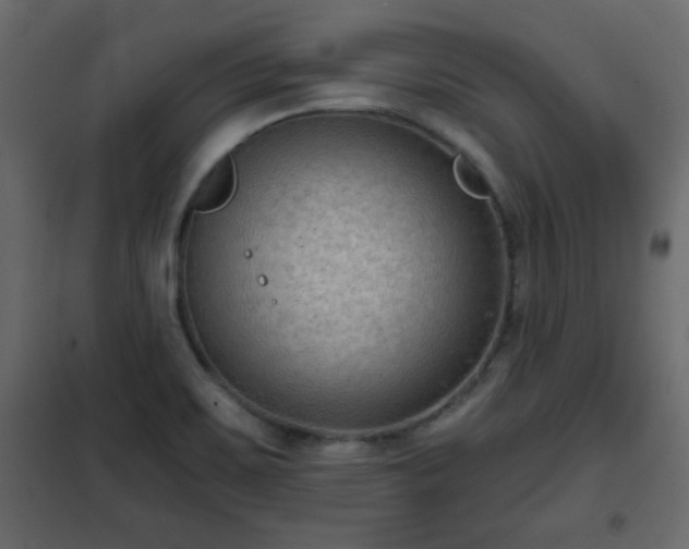 X0000102341467200808081119