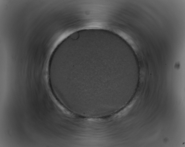 X0000102341469200808081119