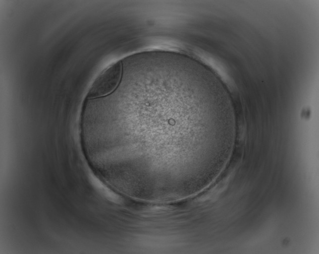 X0000102341471200808081119