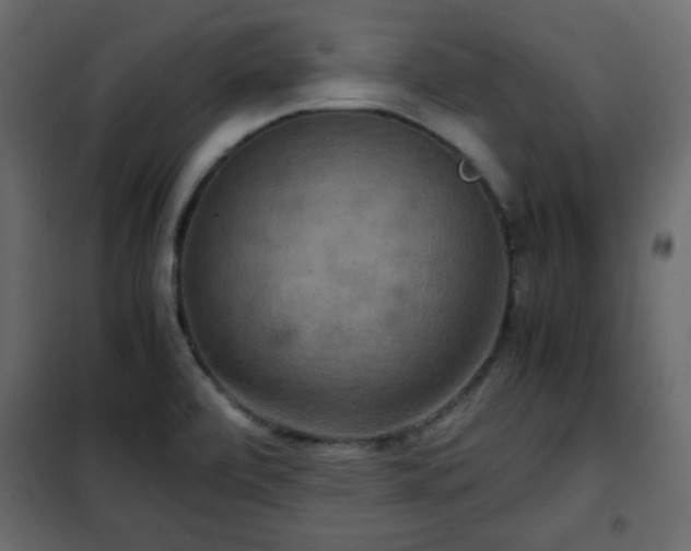 X0000102341472200808081119