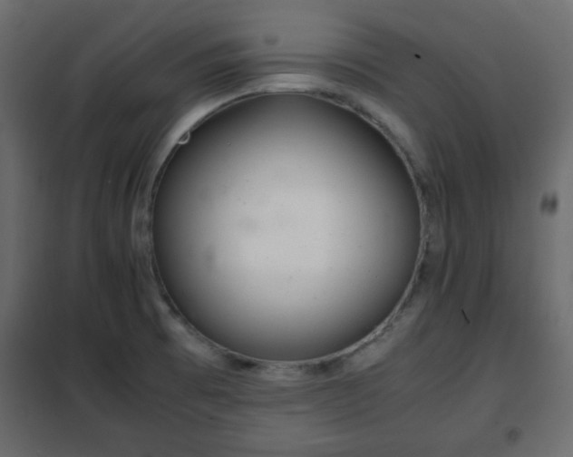 X0000102341473200808081119