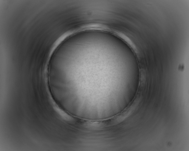 X0000102341474200808081119