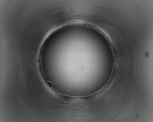 X0000102341475200808081119