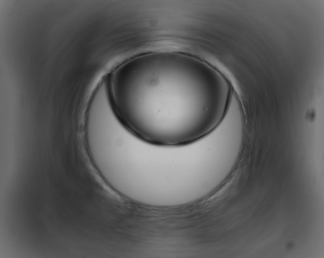 X0000102341477200808081119