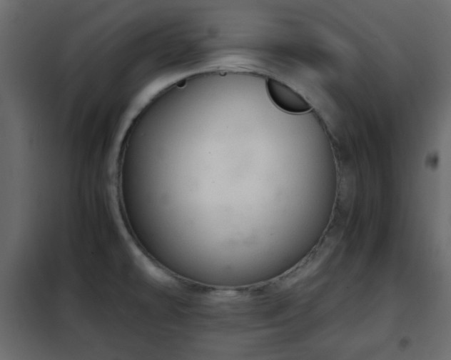 X0000102341478200808081119