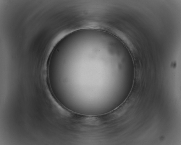 X0000102341479200808081118