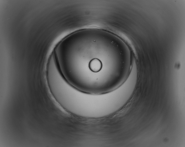 X0000102341480200808081118