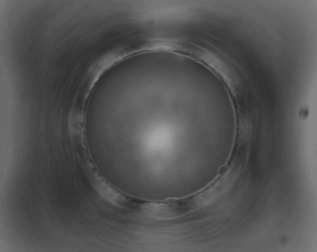 X0000102341481200808081118