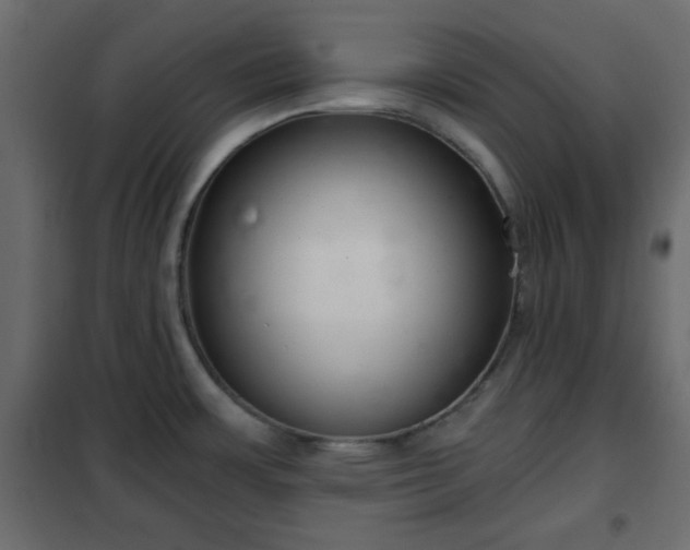 X0000102341483200808081118