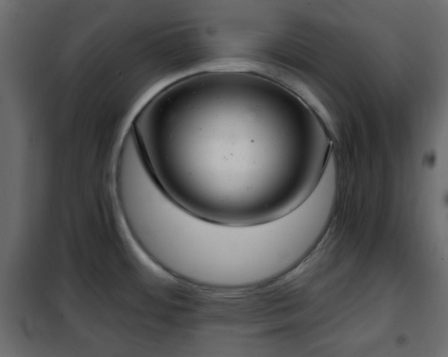 X0000102341484200808081118