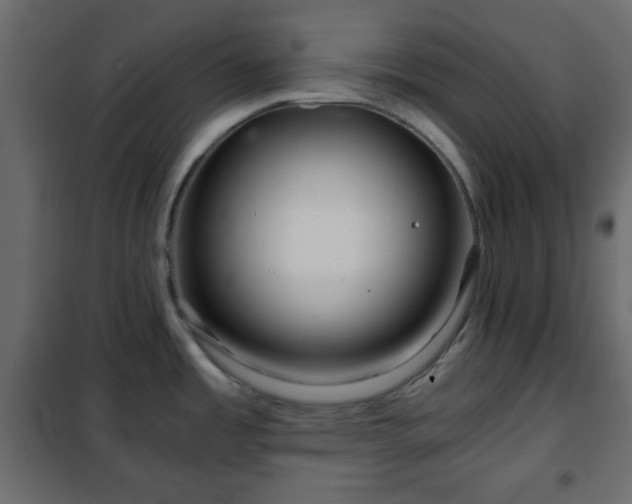 X0000102341485200808081118