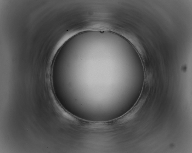 X0000102341486200808081118