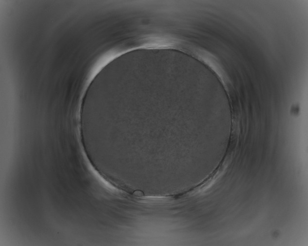 X0000102341487200808081118