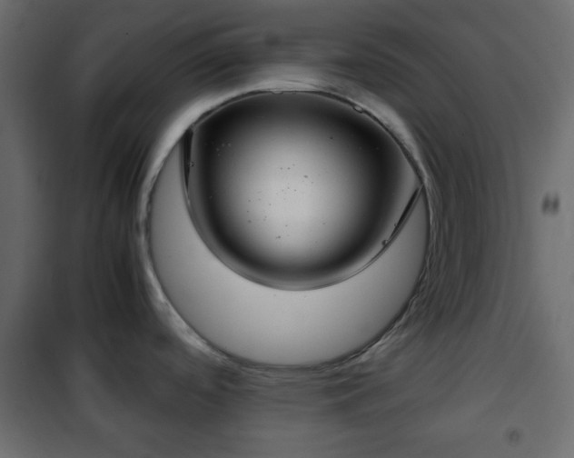 X0000102341488200808081118