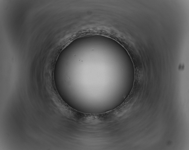 X0000102341489200808081118