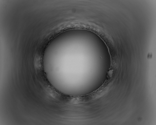 X0000102341490200808081118