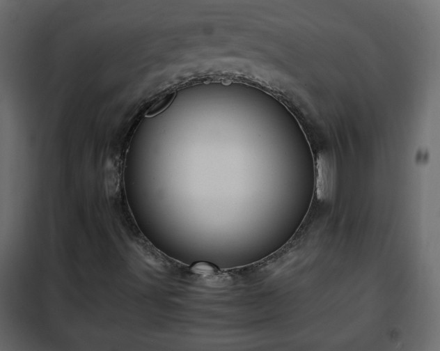 X0000102341491200808081118