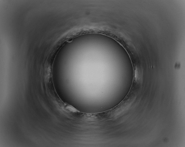 X0000102341492200808081118