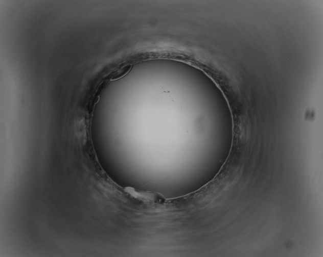 X0000102341493200808081118