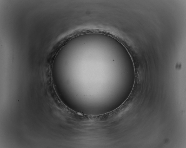 X0000102341494200808081118