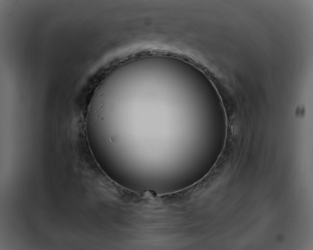 X0000102341495200808081118