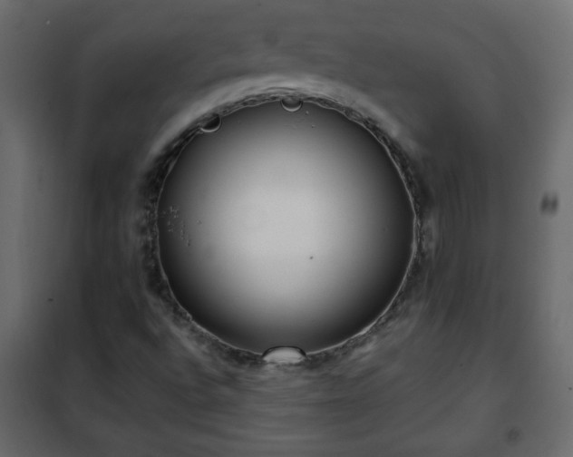 X0000102341496200808081118