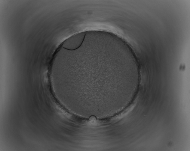 X0000102341497200808081118