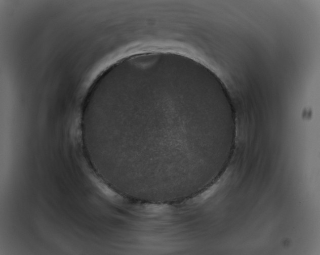 X0000102341498200808081118