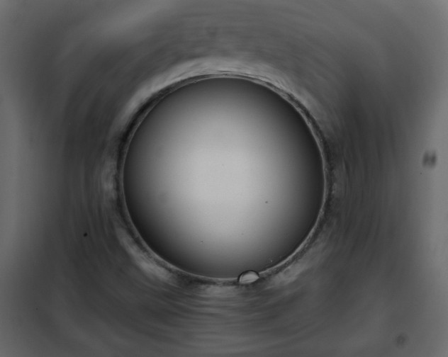 X0000102341499200808081118