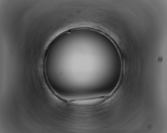 X0000102341500200808081118