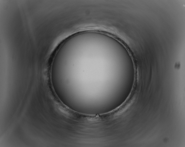 X0000102341501200808081118