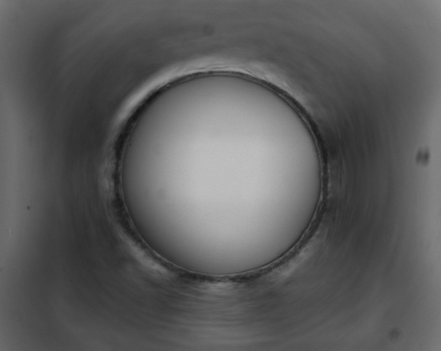 X0000102341502200808081118