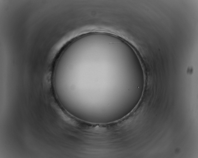 X0000102341503200808081118