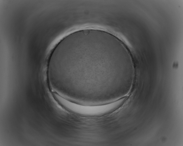 X0000102341504200808081118