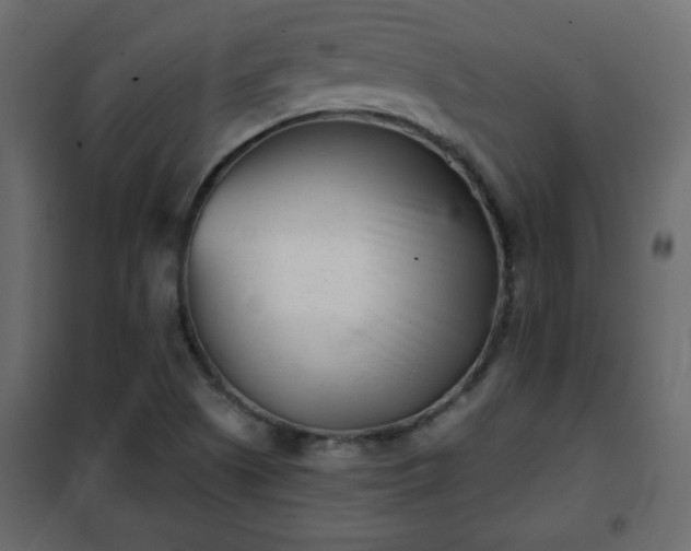 X0000102341505200808081118