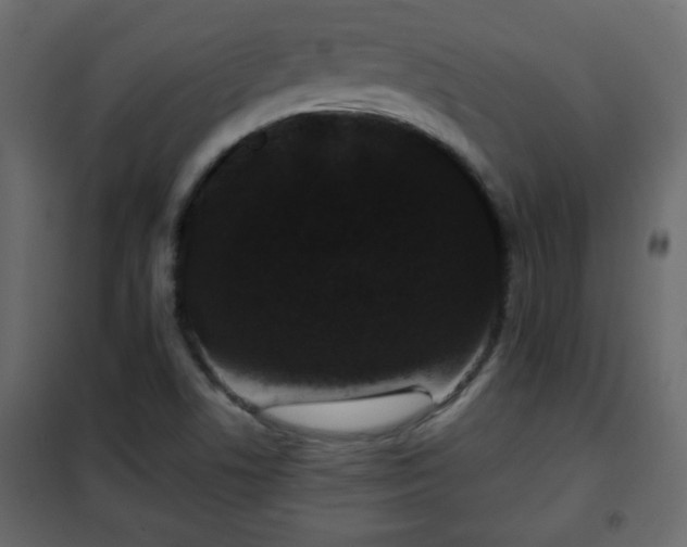 X0000102341506200808081118