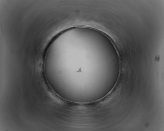 X0000102341507200808081118