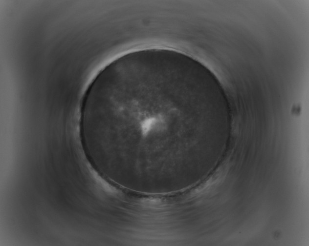 X0000102341508200808081118