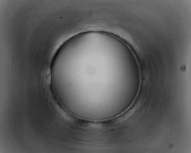 X0000102341509200808081118