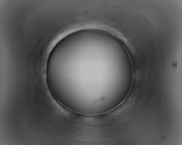 X0000102341512200808081118