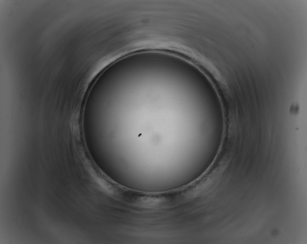 X0000102341513200808081118