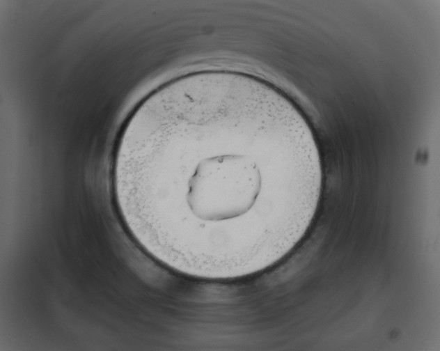 X0000102341514200808081118