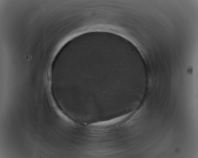 X0000102341515200808081118