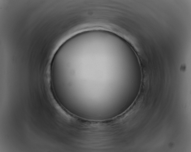 X0000102341516200808081118