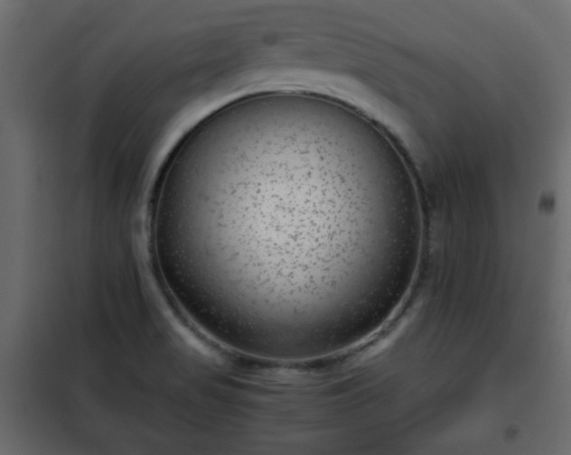 X0000102341517200808081118