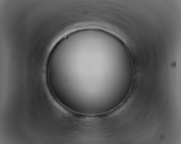 X0000102341518200808081118