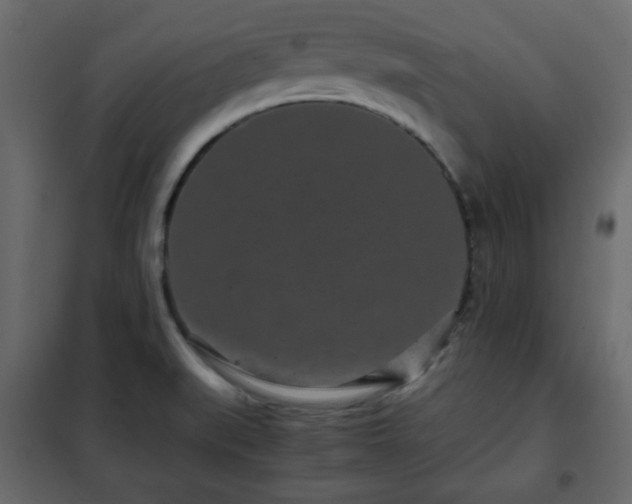 X0000102341519200808081118