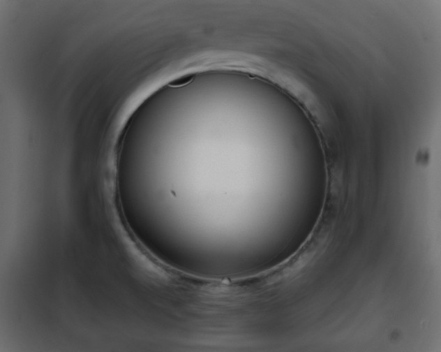 X0000102341520200808081118