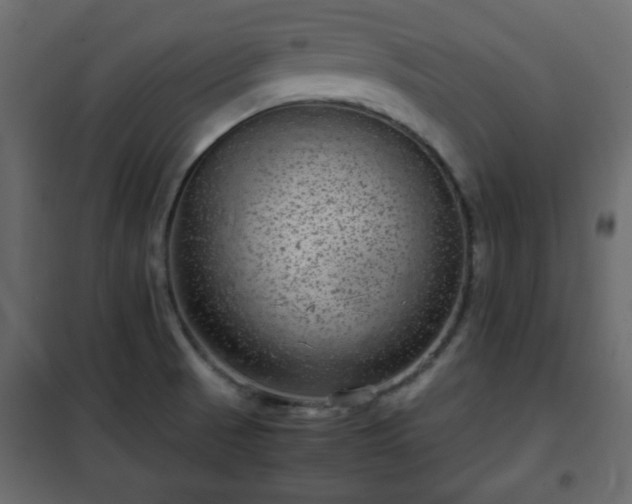 X0000102341521200808081118