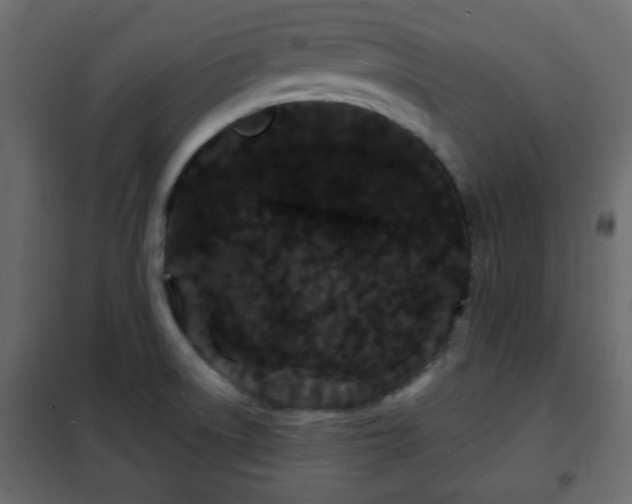 X0000102341522200808081118